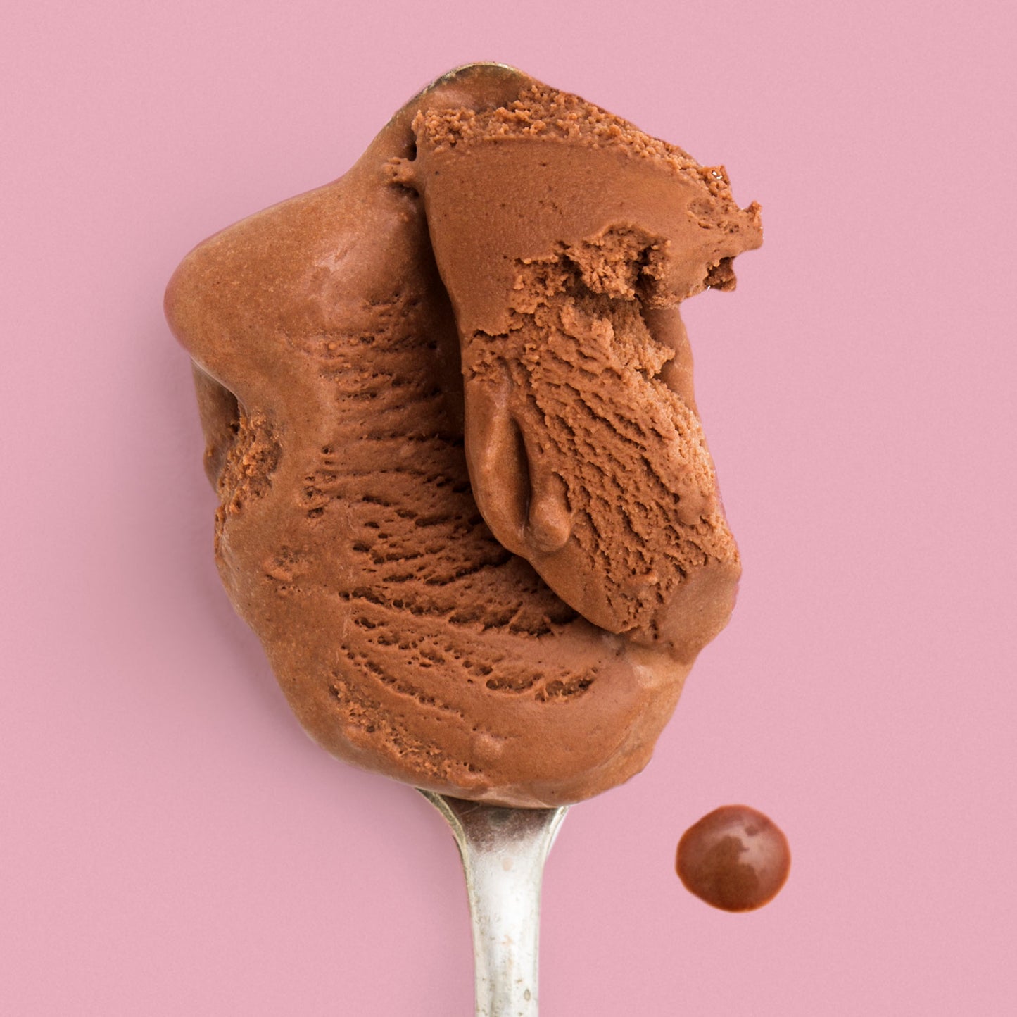 Dark Chocolate Truffle Pint Jeni's Splendid Ice Creams   