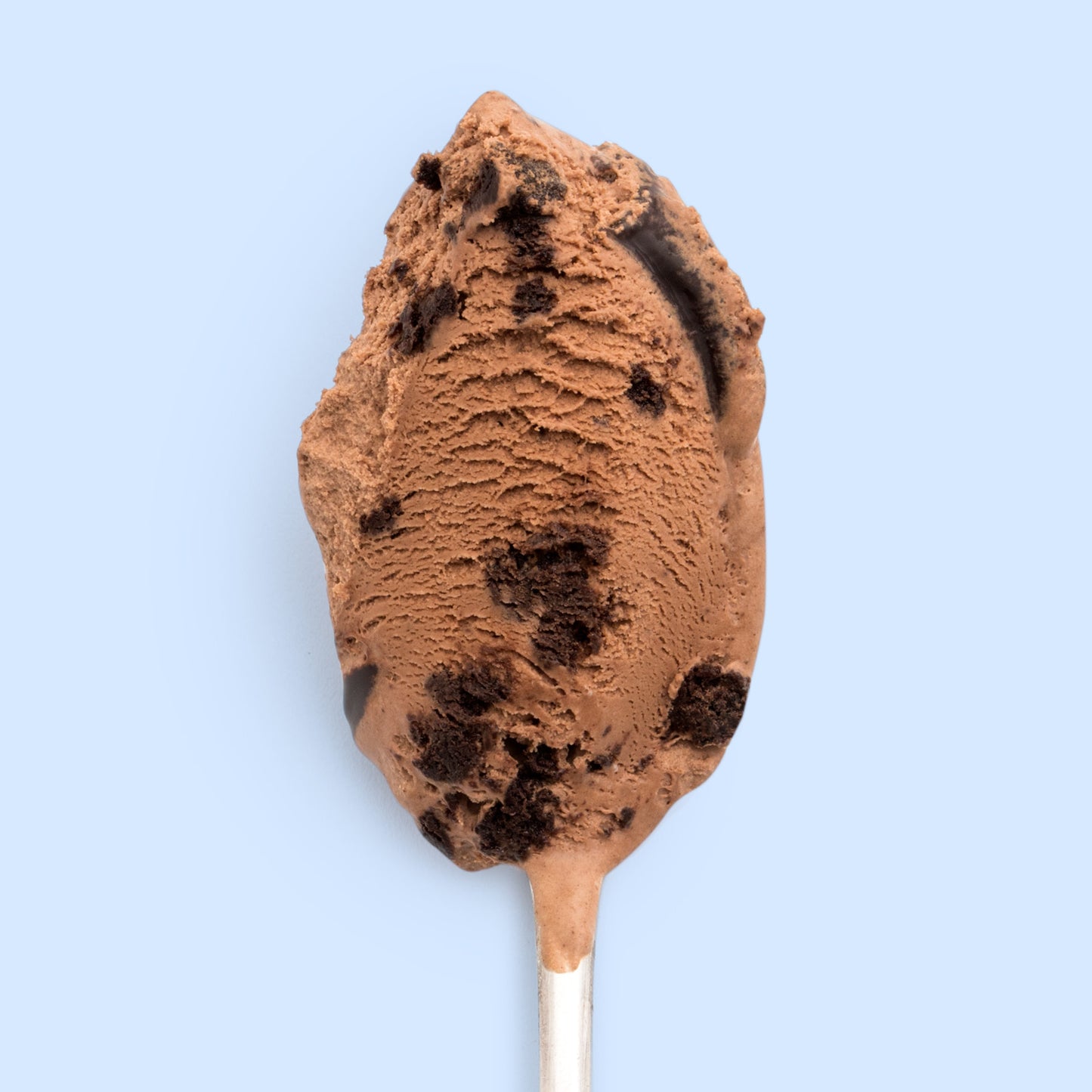 Texas Sheet Cake Pint Jeni's Splendid Ice Creams