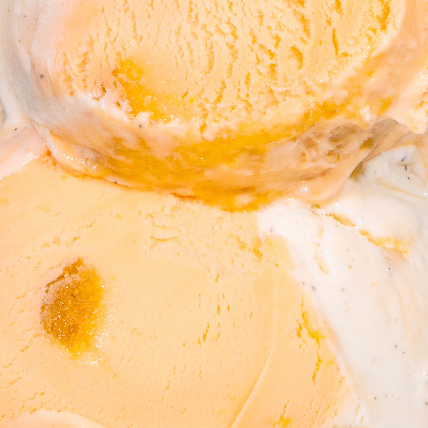 Burnt Orange Dreamsicle