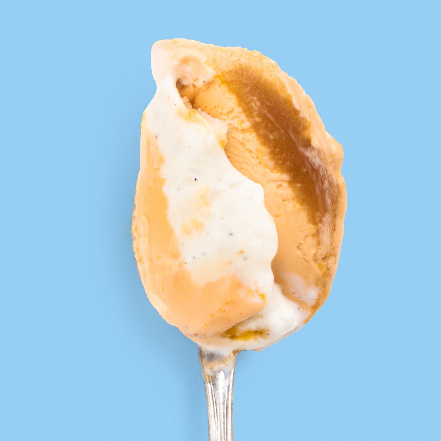 Burnt Orange Dreamsicle